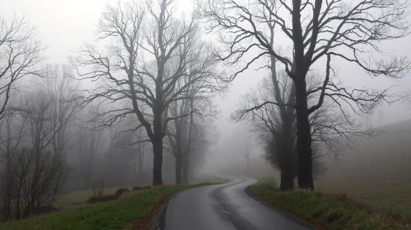 Protégez-vous avec la densité idéale de brouillard en france